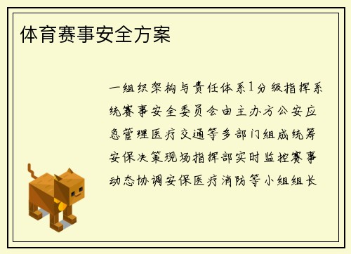 体育赛事安全方案